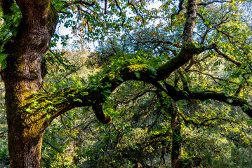 Obraz premium Beautiful landscape view from the north of Tunisia