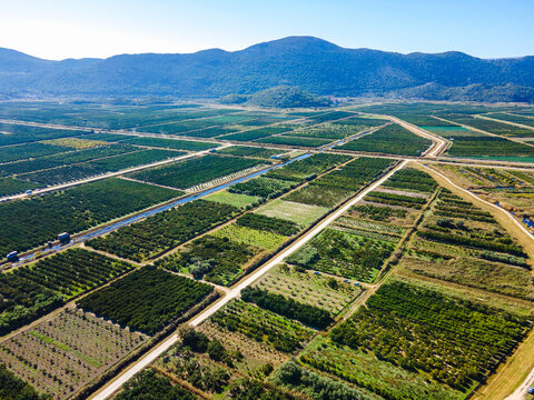 Aerial panoramic view of fertile Neretva Valley in southern Croatia showing irrigated orchards, rural roads, canal network
