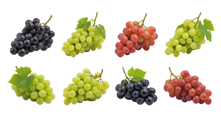 Fresh assorted grapes set including green, red, and black varieties isolated on white background, perfect for healthy eating and cooking projects