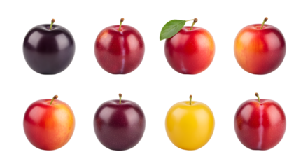 Variety of fresh whole plums and yellow plum isolated on white background, perfect for healthy eating and cooking recipes