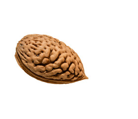 Almond with shell on white background
