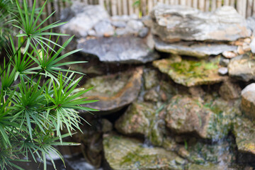 A blurred of a rock waterfall with green plants in a natural garden setting, copy space concept.