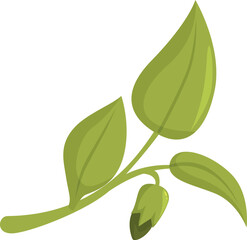 Cartoon illustration of a green sprout growing with leaves and a budding flower