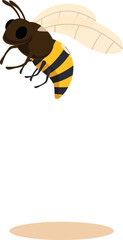 Cartoon illustration of a honey bee flying and showing its stinger, wings and legs
