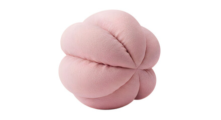 BABY TOYS - Soft pink plush decorative knot pillow isolated on white background, modern home decor accessory perfect for interior design projects