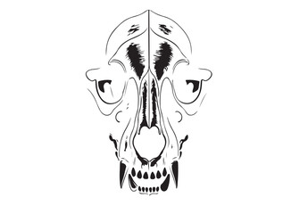 Wolf Skull icon in silhouette white background.