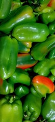 photograph of green pepper at the market