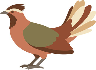 Flat Simple Cute Scaled Quail Bird Illustration Fauna