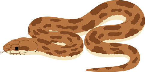 Simple Flat Illustration of a Brown Spotted Snake Reptile Animal
