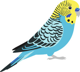 Simple Flat Budgerigar Illustration with Blue and Yellow Color Scheme