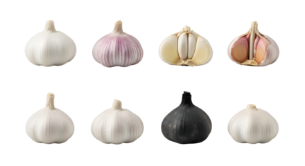 Fresh garlic bulbs and cloves with varieties including white, purple, and black garlic isolated on black background, perfect for cooking and culinary projects