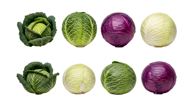 Fresh green cabbage, savoy cabbage, red cabbage, and white cabbage heads isolated on white background, perfect for healthy cooking or recipe content