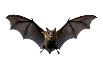 Obraz premium A menacing bat in flight with dark wings isolated on transparent background