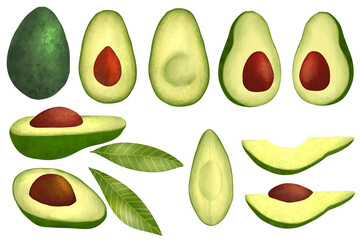 set of avocado