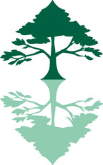 Fototapeta premium Nature's reflection a serene tree mirroring its beauty and life, eco symbol, vector design
