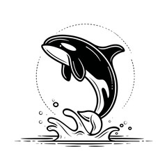 Naklejka premium Dynamic Killer Whale Orca Leaping from Water with Splashes, Minimalist Black and White Vector Illustration, Marine Wildlife