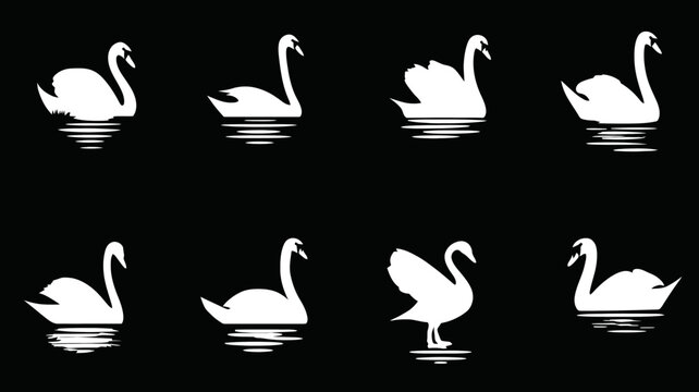 Elegant white swan silhouettes vector set on black background, showcasing various poses with water reflections. Graceful waterfowl illustration.