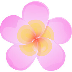 Single Pink Plumeria Flower With Yellow Orange Center And Petals On Transparent Background
