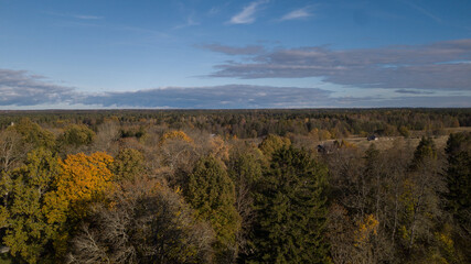 aero view to autumn forest