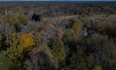 aero view to autumn forest