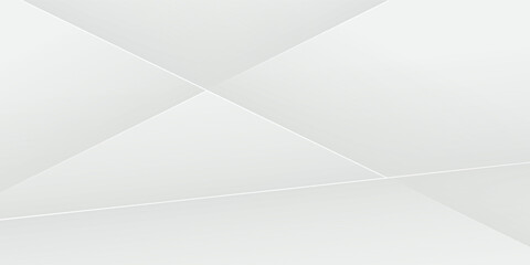 Abstract white and gray background. smooth abstract background, blurred pattern. Light pale vector background. Abstract pale geometric pattern. vector
