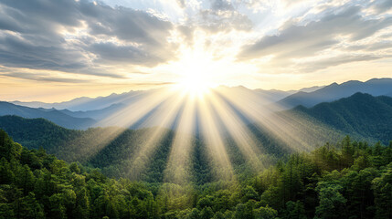 Obraz premium Golden sunbeam over mountain forest creates peaceful atmosphere, inviting tranquility