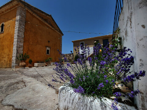 Fototapeta street in provence