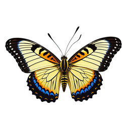 Fototapeta premium Close-up illustration of a beautiful butterfly with striking wing patterns