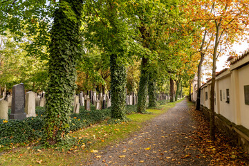 Naklejka premium The New Jewish Cemetery in Zizkov district, Prague, Czechia, where notable people such as Kafka are buried. 