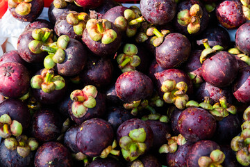 Pile of fresh mangosteens in market