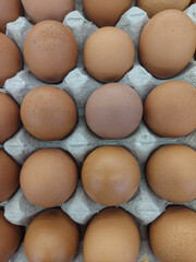 Close-up of fresh brown chicken eggs neatly arranged in a gray carton tray