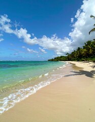 Tropical beach scene with turquoise water and white sand.  Vast blue sky with fluffy clouds and palm trees line the shoreline