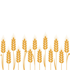 Golden Wheat Stalks - A Harvest of Grain.