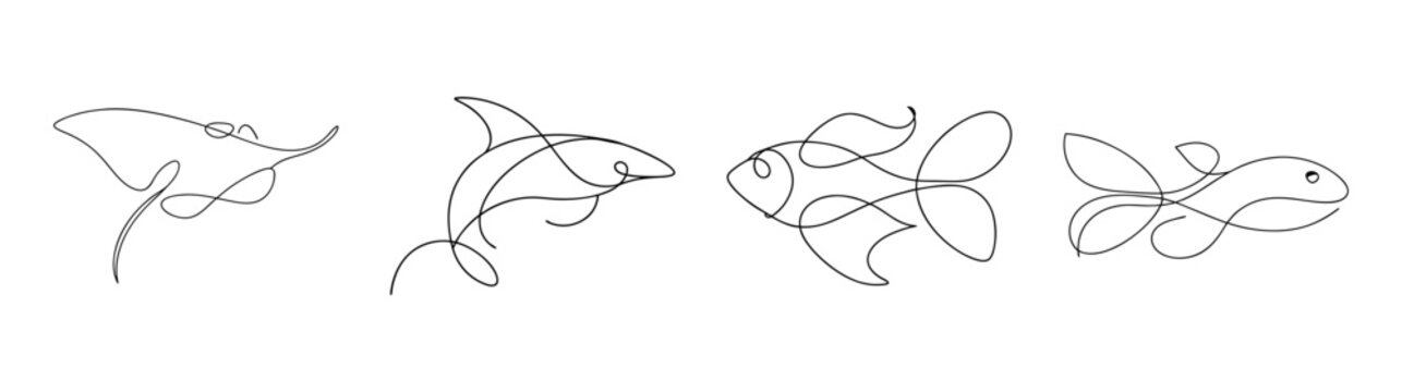 Detailed outline drawing of bristlenose pleco fish showing intricate details and texture for aquarium enthusiasts