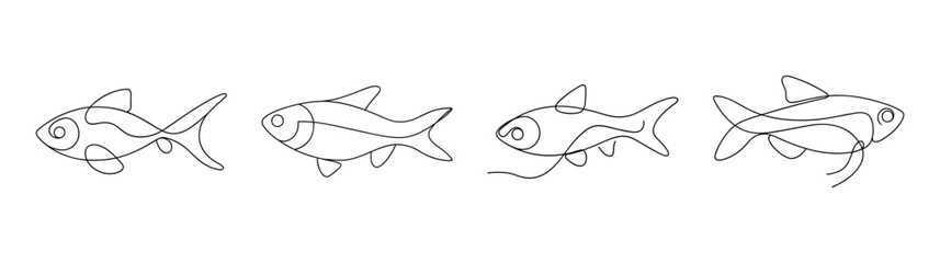 Fototapeta premium Harlequin rasbora fish line art drawing delicate sketch aquatic animal underwater life