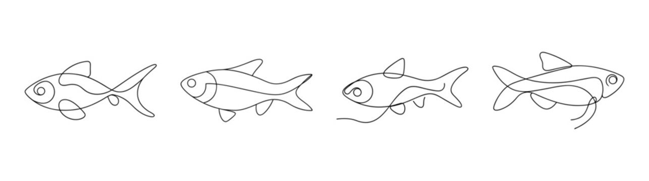 Harlequin rasbora fish line art drawing delicate sketch aquatic animal underwater life