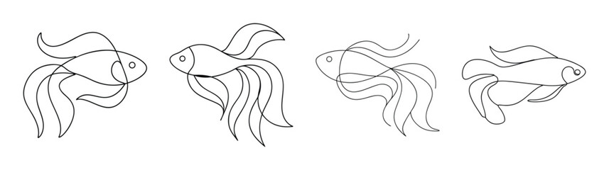 Fototapeta premium Artistic line drawing of a betta fish with flowing fins gracefully swimming in aquatic environment