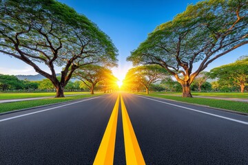 Tranquil morning road with long shadows and soft golden hue