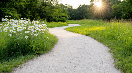 Obraz premium Winding path surrounded by wildflowers and sunlight creates peaceful atmosphere in nature