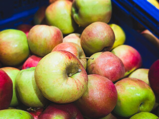 freshly picked gala apples in blue crate at farmers market close-up
