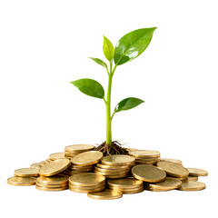 green plant growing from coins