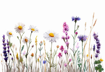 Watercolor background with wildflowers. Romantic wild flowers cornflowers, lavanda and chamomile. Summer field and meadow flowers with herbs. Border for rustic designs.
