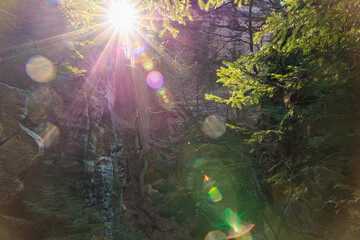 Sunlight streaming through forest canopy illuminating rocky terrain