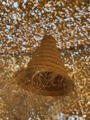 Woven rattan lampshade hanging under sunlit canopy