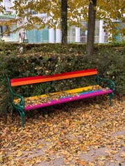 colorful rainbow bench in autumn park