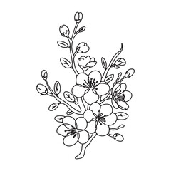 Elegant Cherry Blossom Branch Line Art Illustration on White Background