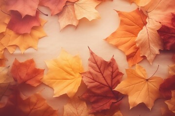 Fototapeta premium Vibrant fall foliage arranged on a beige backdrop, capturing the essence of autumn