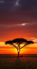 Fototapeta premium Serene African Sunset: Silhouette Tree in Golden Light