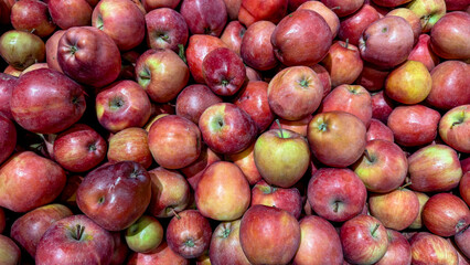 Vibrant crimson apples heaped in rustic abundance, invoking autumnal equinox merriment and the quirky charm of Apple Day celebrations