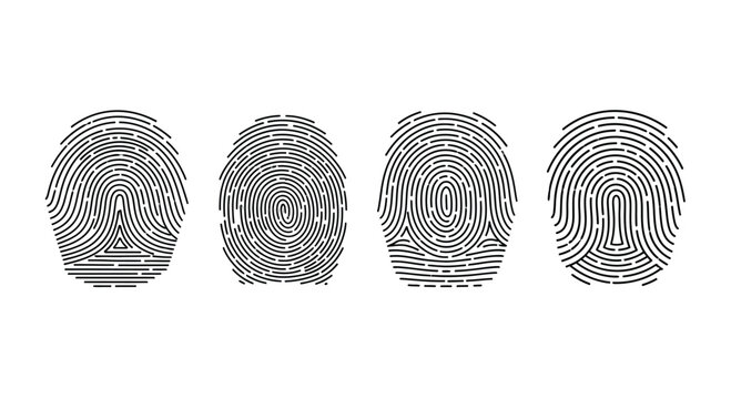 Four unique fingerprint patterns showcasing identity and personal identification security vector